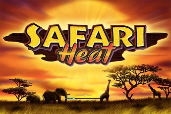 safari heat